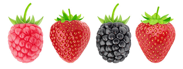 Multicolored collection of assortment of berries: strawberry, raspberry and blackberry isolated on a white background with clipping path.