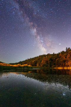 Milky Way Over Doane Pond In Palomar Mountain State Park