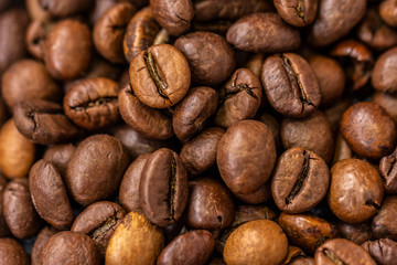 Naklejka premium Close-up of coffee beans on wooden background