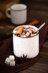 White ceramic mug of cocoa with marshmallows on the warm autumn background
