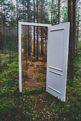 An open door in the forest. The door leading into the autumn. Transition between summer and autumn. Autumn and summer in the forest. Green and yellow colors of trees. Magic in the forest concept