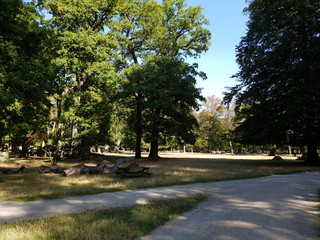 Wisentgehege Springe (Germany)