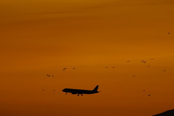 plane avion volando sobre cielo anaranjado del atardecer