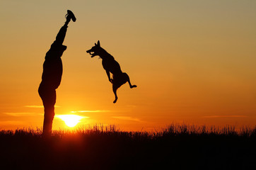 Dog jumping up on sunset background, Belgian Shepherd Malinois, dog and man silhouette, incredible sunset, Malinois playing with a man, man silhouette