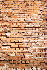 Brick wall texture