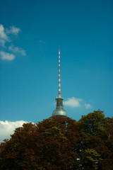 Naklejka premium Berlin television tower seen behind some trees