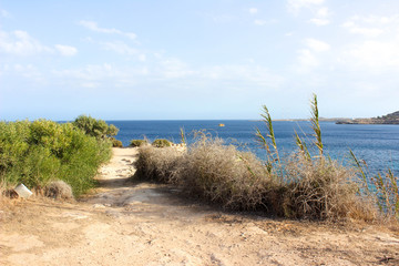 path near sea