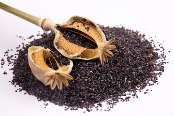 Closeup of ripe dry poppy (Papaver sp.) seed head and seeds isolated
