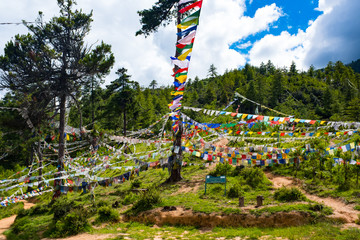 Bhutan Thimphu Kuensel Phodrang
