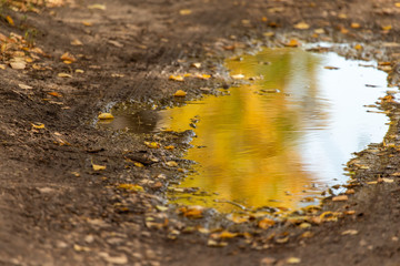 Puddle on a dirt road with autumn reflection