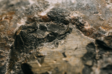Natural rock wall texture and background. Closeup view of stone wall texture and background.
