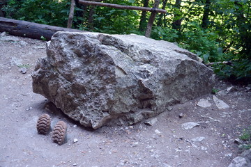 a hilarious image of a rock falling on a man