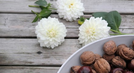 Autumn concept with white dahlia flowers on weathered wooden boards, in bright daylight. And a collection of walnuts and chestnuts in a bowl. 