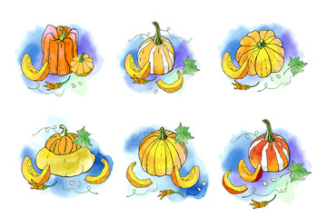 Collection of autumn pumpkin compositions with watercolor texture. Fall harvest. Vector set. Cute icons for postcards, greetings, cards, logo. Food background. Hand drawn. Halloween, thanksgiving.