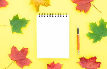 Naklejka na ściany i meble Open notebook and autumn maple leaves.