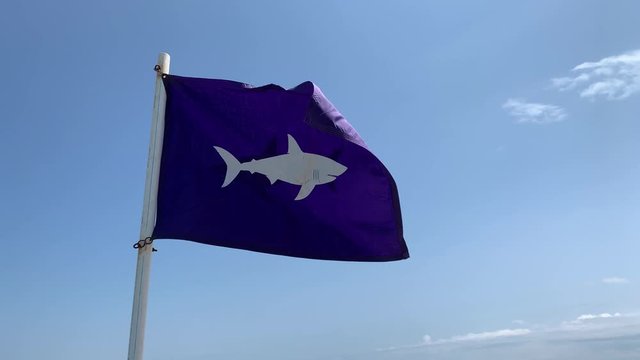 A flag warning of a shark sighting waves from a flagpole on a beautiful day at the beach