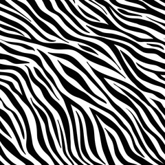 Zebra animal pattern, white background. Vector striped texture.