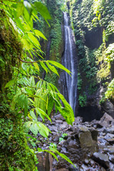 Obraz na płótnie Canvas Sekumpul Waterfalls surrounded by tropical forest in Bali, Indonesia.