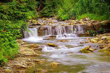 Ukraine, Carpathians. The rapids of a mountain river, a tributary of the Black Cheremosh. Beautiful summer landscape.