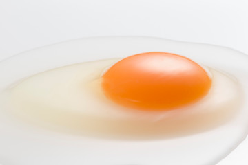 Egg