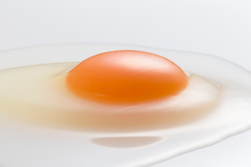 Egg