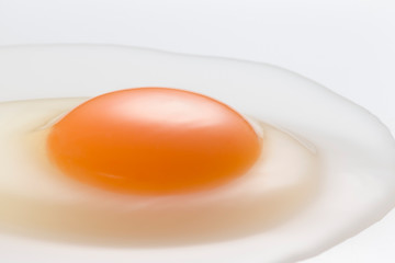 Egg