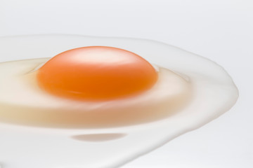 Egg