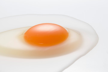 Egg