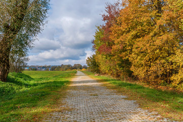 Fototapeta na wymiar Autumn rural road landscape. Autumn forest road landscape. Autumn road through the field.