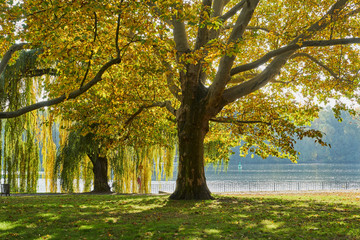 Herbstliches Panorama mit heller Sonne, die durch die Bäume scheint und Reflexionen oder Spiegelungen im Wasser 