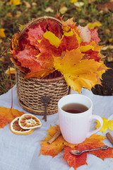 Naklejka na ściany i meble autumn tea party. cup with tea and maple leaves. Maple leaves in a basket.