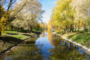 Fototapeta na wymiar Autumn park with yellow leaves and trees with a river and reflection in the water and blue sky.