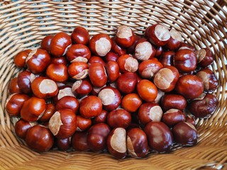 Obraz premium Kastanienkorb