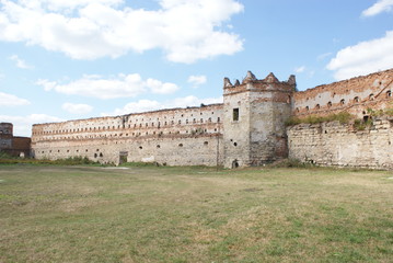 Fototapeta na wymiar Castle Stare Selo, Lviv Oblast