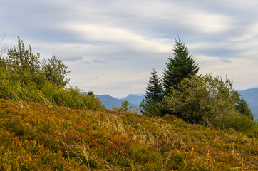 Bieszczady panorama z połoniny Caryńskiej