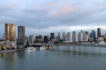 Fototapeta premium Rotterdam
