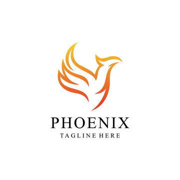 Phoenix bird abstract luxury Logo Vector template illustration	