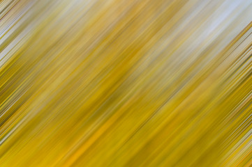Abstract texture for the background with autumn colors yellow and green.