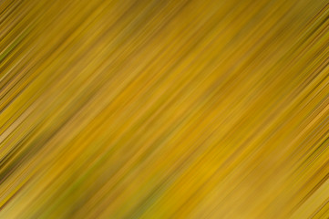 Abstract texture for the background with autumn colors yellow and green.