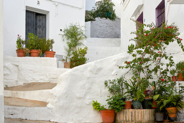 Fototapeta na wymiar Whitewashed houses, typical architecture of the white villages of Andalusia. Ubrique, Cadiz,