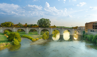Carcassonne and the Le Pont Vieux in france - obrazy, fototapety, plakaty