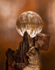 lenball
