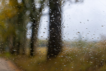 view from the car through the glass on autumn trees in the rain