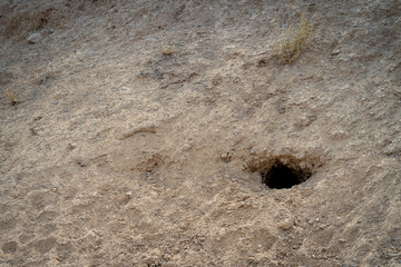 foxhole in the desert