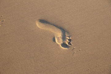 Fototapeta na wymiar empreinte de pied sur le sable a la plage 