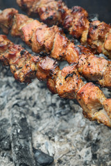 Barbecue.Juicy pieces of meat on skewers