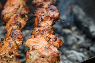 Barbecue.Juicy pieces of meat on skewers