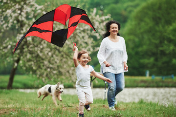 Obraz premium Two people and dog. Positive female child and grandmother running with red and black colored kite in hands outdoors