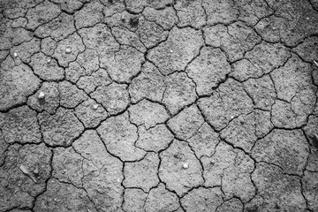 Dried and Cracked ground