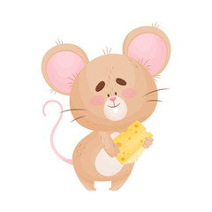 Cartoon mouse is holding a small piece of cheese. Vector illustration.
